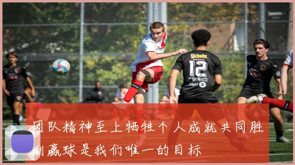 团队精神至上牺牲个人成就共同胜利赢球是我们唯一的目标