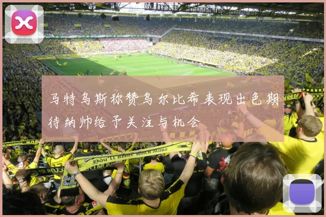 马特乌斯称赞乌尔比希表现出色期待纳帅给予关注与机会